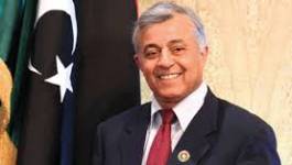 Ces Amazighs que nos ennemis utilisent pour nous dominer