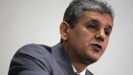 Le RCD appelle à des marches populaires pour l'officialisation de tamazight