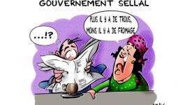 7 femmes dans le nouveau gouvernement Sellal