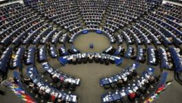 Élections européennes : des Algériens têtes de listes ?