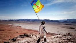 La question amazighe au Maroc ou le retour au point zéro