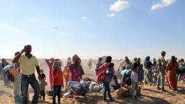 Turquie : des combattants kurdes syriens en grève de la faim