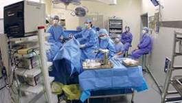 Hôpital Nafissa-Hamoud à Alger: 6000 dossiers en attente pour la procréation