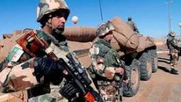 Un groupe de 20 criminels étrangers neutralisé au sud algérien