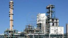 Chute du cours du pétrole, hausse des importations en Algérie : la sécurité nationale menacée