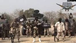Le drapeau noir des islamistes de Boko Haram visible depuis le Niger