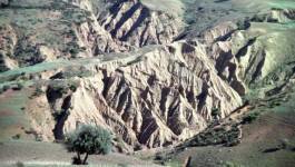 Les zones montagneuses en Algérie menacées par une "très grave" érosion