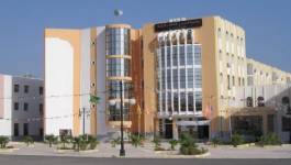 Vice-recteur ou tyran à l’université de Guelma ?