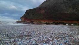 Melbou (Béjaia) : la cote d’alerte !