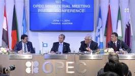 A quoi sert l’Opep ?