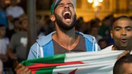 Pourquoi je ne supporte pas l'équipe algérienne