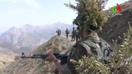 Un terroriste abattu par les forces de l'ANP en Kabylie