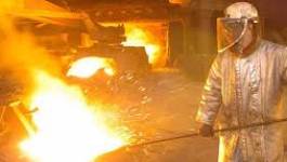 Le projet de réalisation du complexe sidérurgique de Bellara (Jijel)