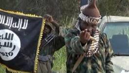 Le groupe djjihadiste Boko Haram rejoint l'Etat islamique, selon le SITE