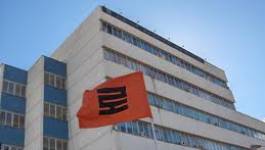 IAP : une démarche irréfléchie mène forcément à l’échec