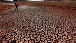 L’Algérie face aux impacts négatifs du réchauffement climatique