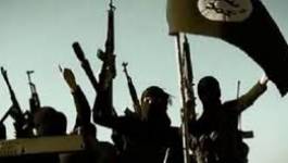 Thifrikes u Gafa (Afrique du nord) : entre Identité et prédation