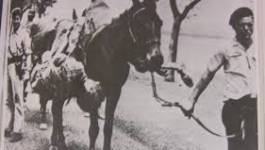 8 mai 1945 en Algérie : complot colonialiste ou plan insurrectionnel ?