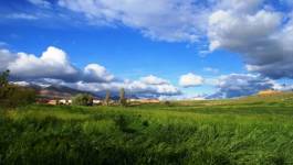 Batna : début de la récolte des céréales dans les zones escarpées