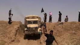 La coalition internationale insuffisamment décidée à contrer l'EI