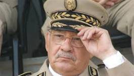 Que cache la lettre de Gaïd Salah au patron du FLN ?