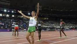 Enorme performance mondiale de Taoufik Makhloufi sur le 1000 m