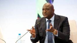 France: garde à vue levée pour le directeur de cabinet d'Ali Bongo