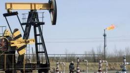 Le pétrole chute lourdement face à des inquiétudes renouvelées pour la demande