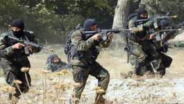 Quatre terroristes éliminés à Aghribs dans la wilaya de Tizi-Ouzou