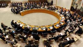 Libye: le Conseil de sécurité entérine l'accord sur un gouvernement d'union
