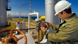 Le pétrole plonge sous les 40 dollars pour la première fois depuis août