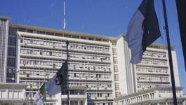 La dernière chance pour l’Algérie : réussir les réformes ou retourner au FMI