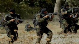 157 terroristes dont 10 chefs neutralisés en 2015 par l’Armée algérienne