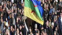 Avant-projet de révision constitutionnelle: tamazight promue langue officielle