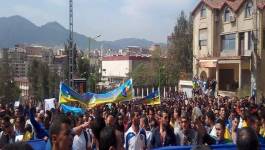 La Kabylie est-elle vraiment assimilable ?