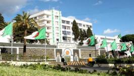 Deux des quatre terroristes éliminés par l'ANP à El-Oued identifiés