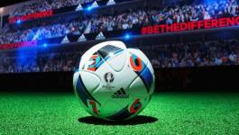 La sécurité de l'Euro 2016 en France toujours en question