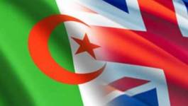 Y a-t-il des perspectives pour le Forum d’affaires Algérie/Grande-Bretagne ?