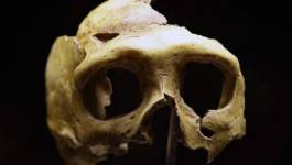 L'homme de Néandertal explorait déjà des grottes il y a 176.500 ans