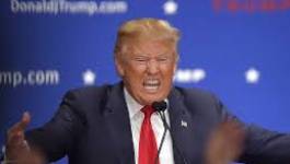 Donald Trump, Daesh, Brexit et ...islamophobie !