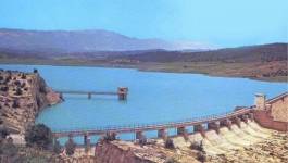 Khenchela : un collectif citoyen se mobilise pour sauver le barrage de Kaïs