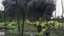 Les rebelles du delta du Niger revendiquent de nouveaux sabotages