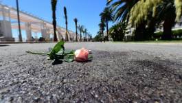 Attaque terroriste de Nice: une quatrième victime algérienne identifiée