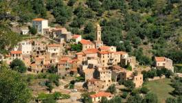 Corse : un lieu de culte musulman et une boucherie halal dégradés