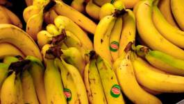 L'Algérie a importé pour 120 millions de dollars de bananes et pommes