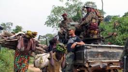 Massacre d'au moins 35 civils en République démocratique du Congo