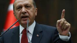 Turquie : Erdogan mécontent, convoque le chargé d'affaires allemand