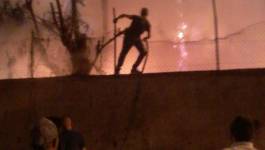 Un feu a menacé dimanche la direction de l’agriculture et un quartier à Batna