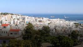 Aidons à la création d’un café littéraire à Alger !