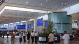 Aéroport d’Alger : une passagère arrêtée en possession de plus de 74 000 euros